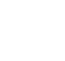 icon-17